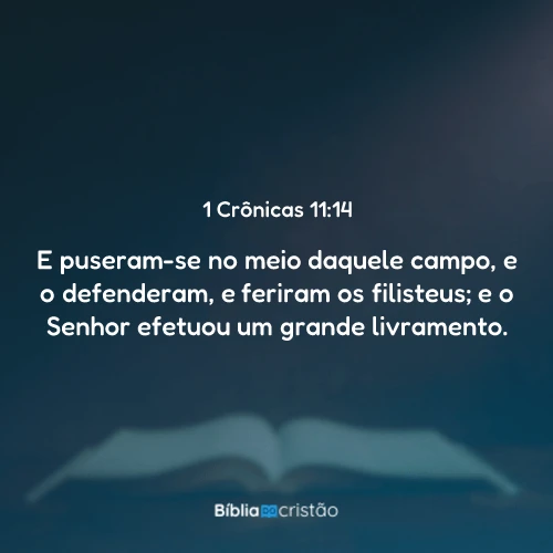 1 Crônicas 11:14