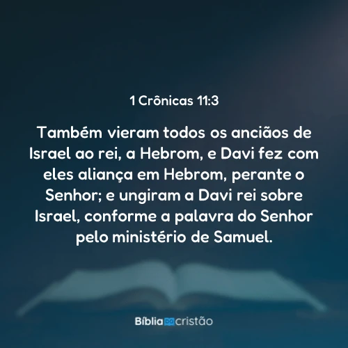 1 Crônicas 11:3