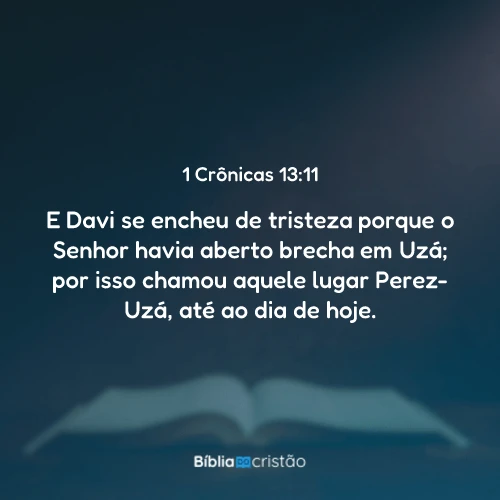 1 Crônicas 13:11