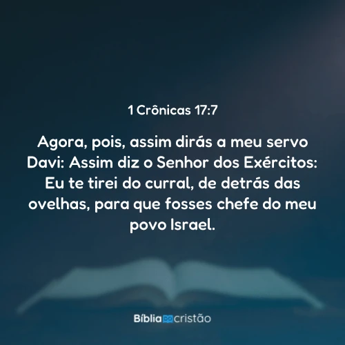 1 Crônicas 17:7
