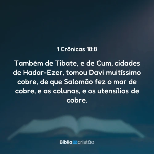 1 Crônicas 18:8