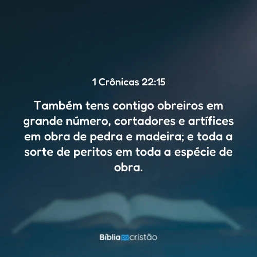 1 Crônicas 22:15