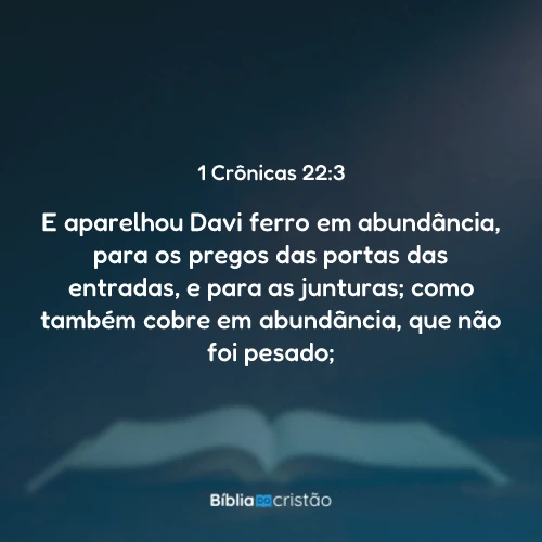 1 Crônicas 22:3