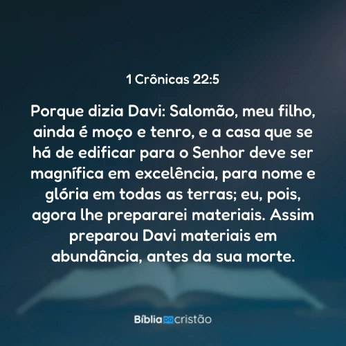 1 Crônicas 22:5