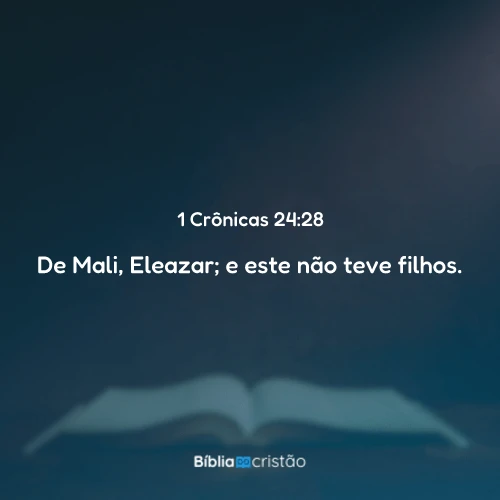 1 Crônicas 24:28