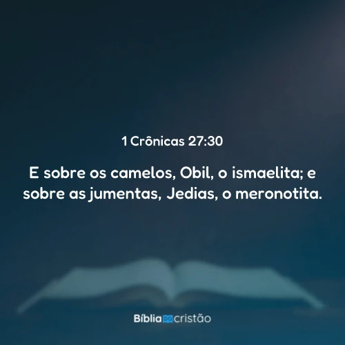 1 Crônicas 27:30