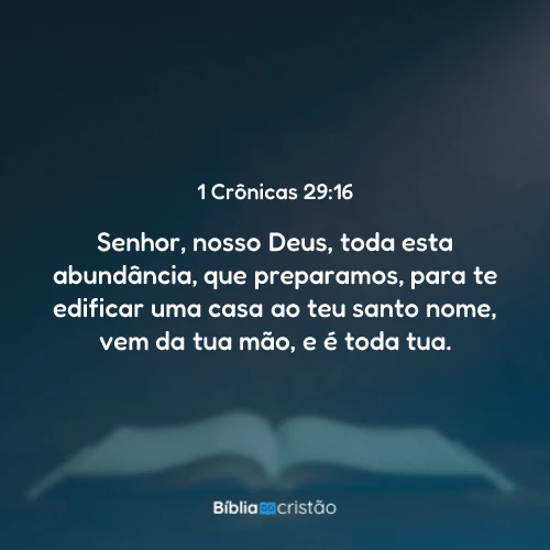 1 Crônicas 29:16