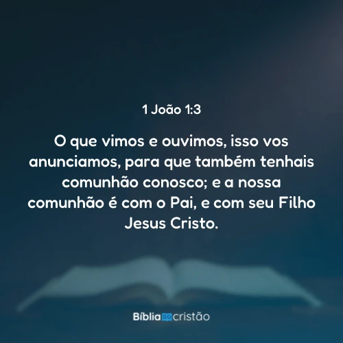 1 João 1:3