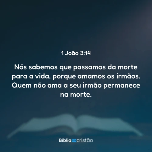 1 João 3:14