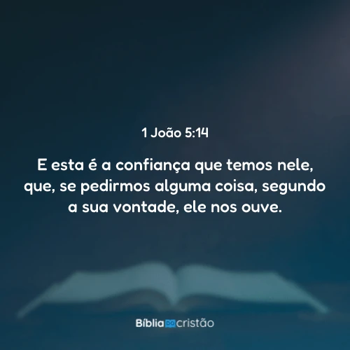 1 João 5:14