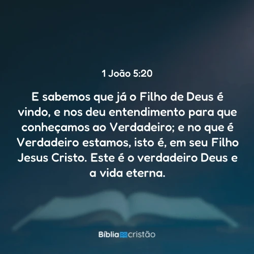 1 João 5:20