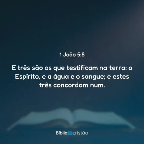1 João 5:8