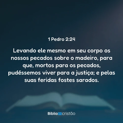 1 Pedro 2:24