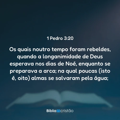 1 Pedro 3:20