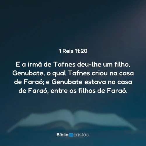 1 Reis 11:20