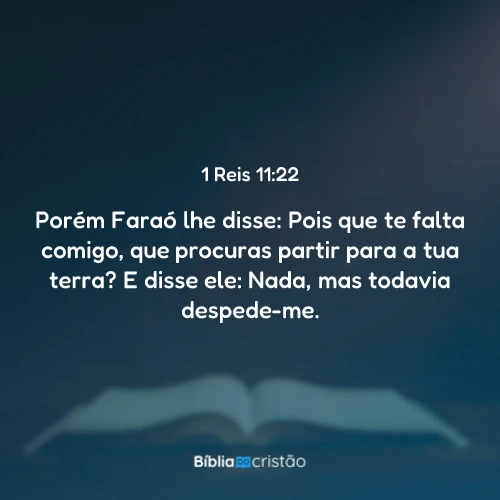 1 Reis 11:22