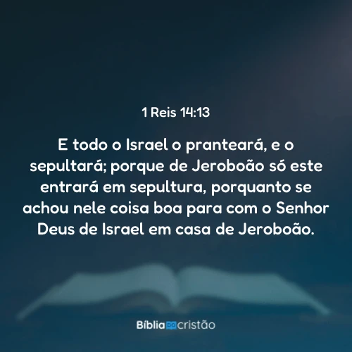 1 Reis 14:13