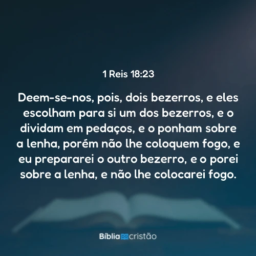 1 Reis 18:23