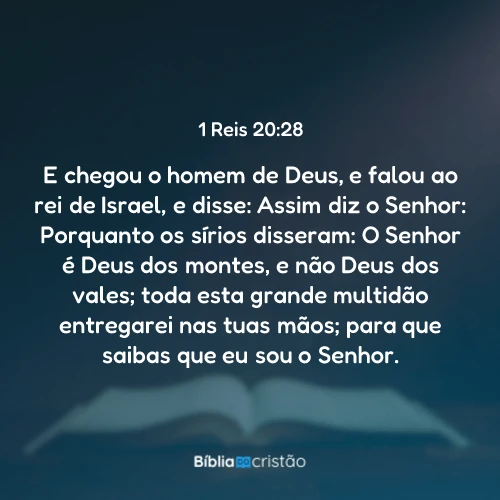 1 Reis 20:28