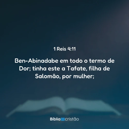 1 Reis 4:11