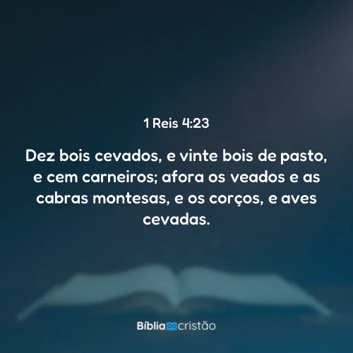 1 Reis 4:23