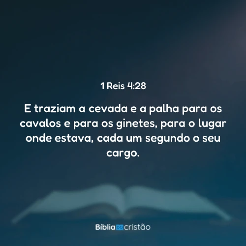 1 Reis 4:28