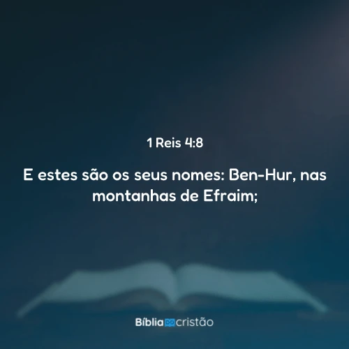 1 Reis 4:8