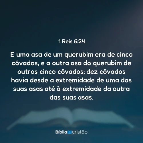 1 Reis 6:24