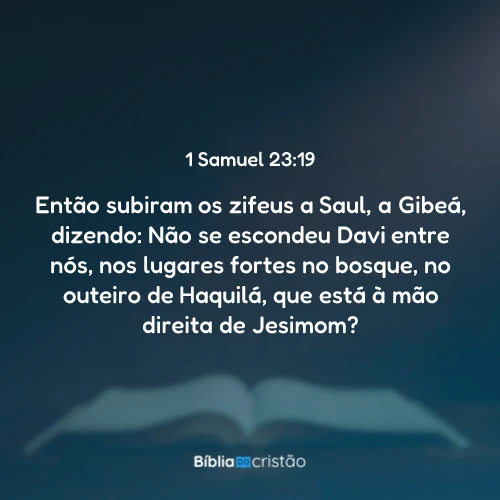 1 Samuel 23:19