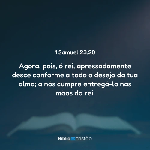 1 Samuel 23:20