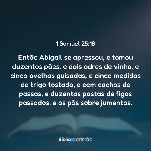 1 Samuel 25:18