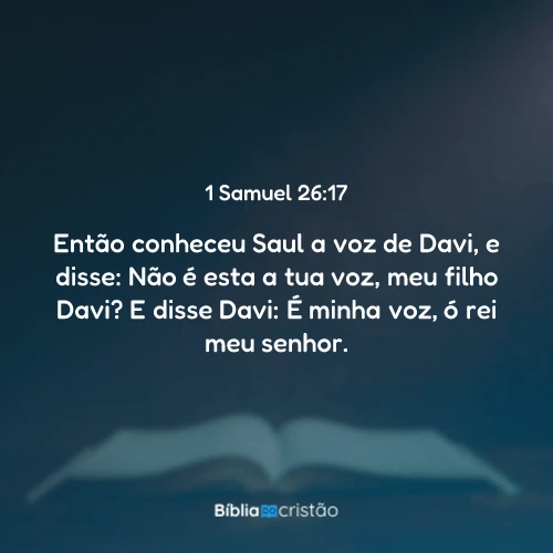 1 Samuel 26:17