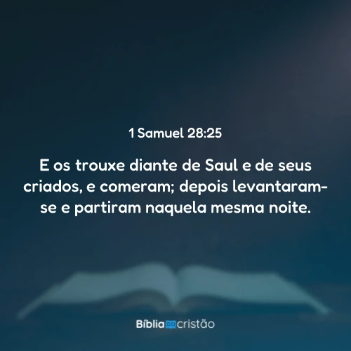 1 Samuel 28:25