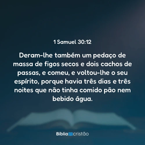1 Samuel 30:12