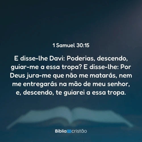 1 Samuel 30:15