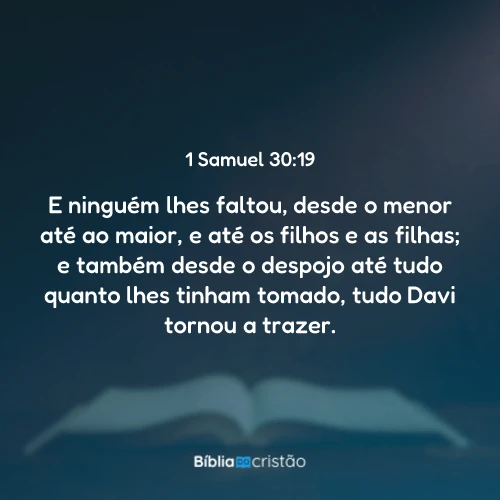 1 Samuel 30:19