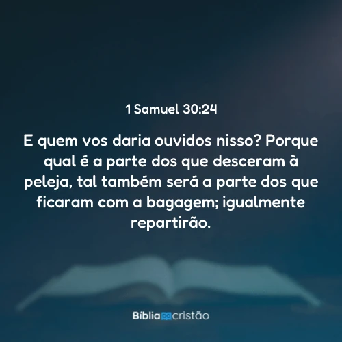 1 Samuel 30:24