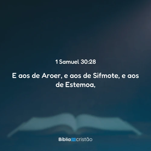 1 Samuel 30:28