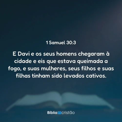 1 Samuel 30:3