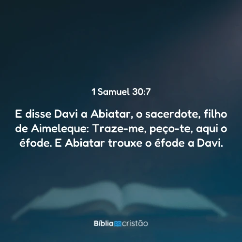 1 Samuel 30:7