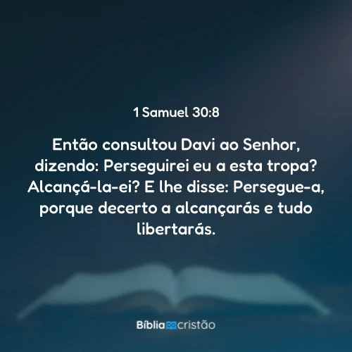 1 Samuel 30:8