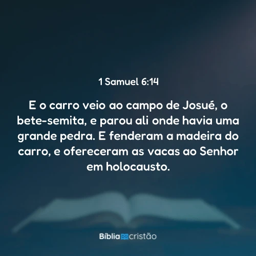 1 Samuel 6:14