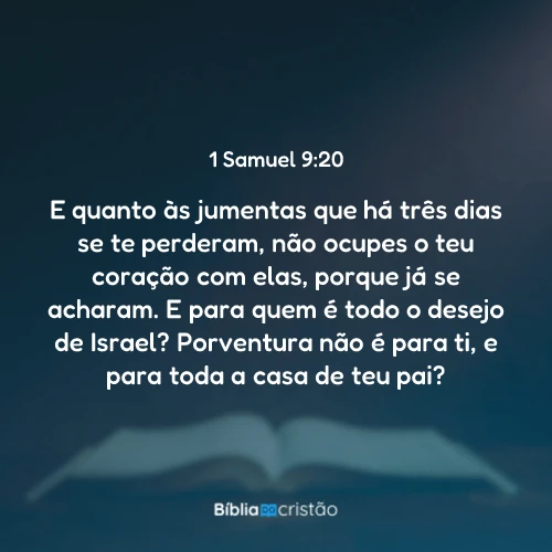 1 Samuel 9:20