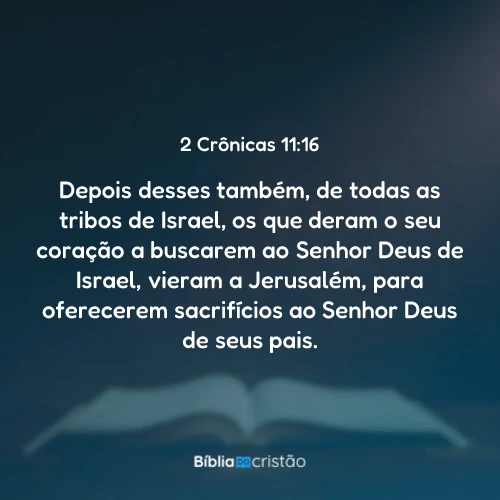 2 Crônicas 11:16