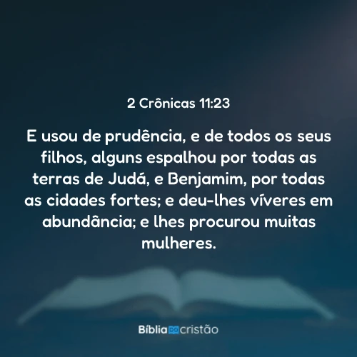 2 Crônicas 11:23
