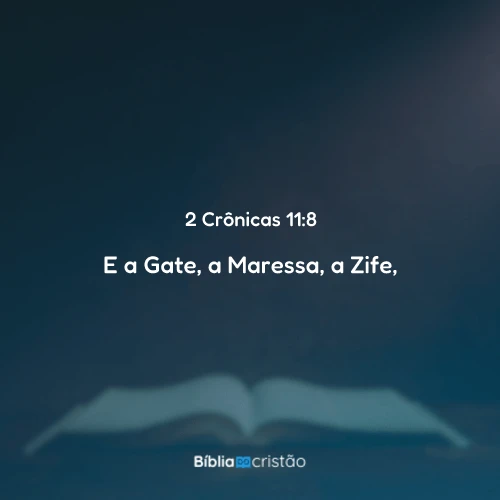 2 Crônicas 11:8