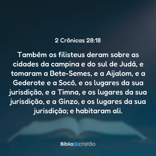 2 Crônicas 28:18