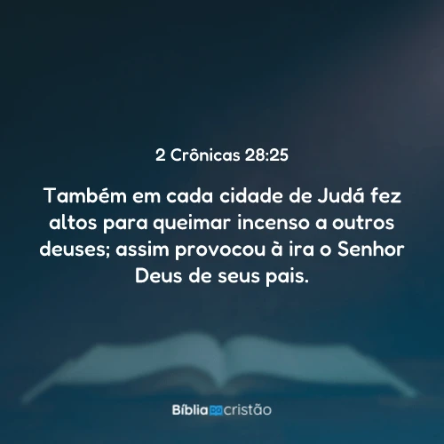 2 Crônicas 28:25