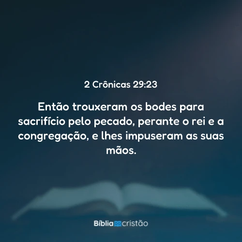 2 Crônicas 29:23