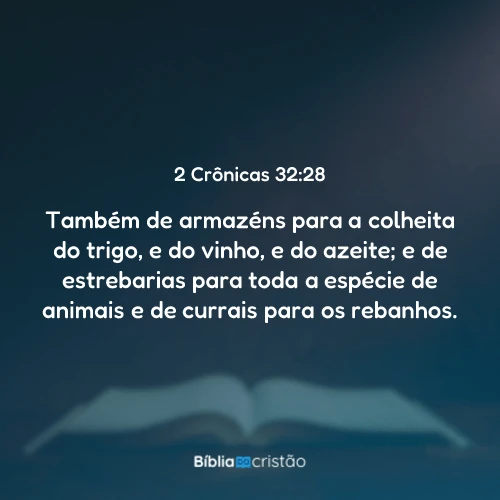 2 Crônicas 32:28